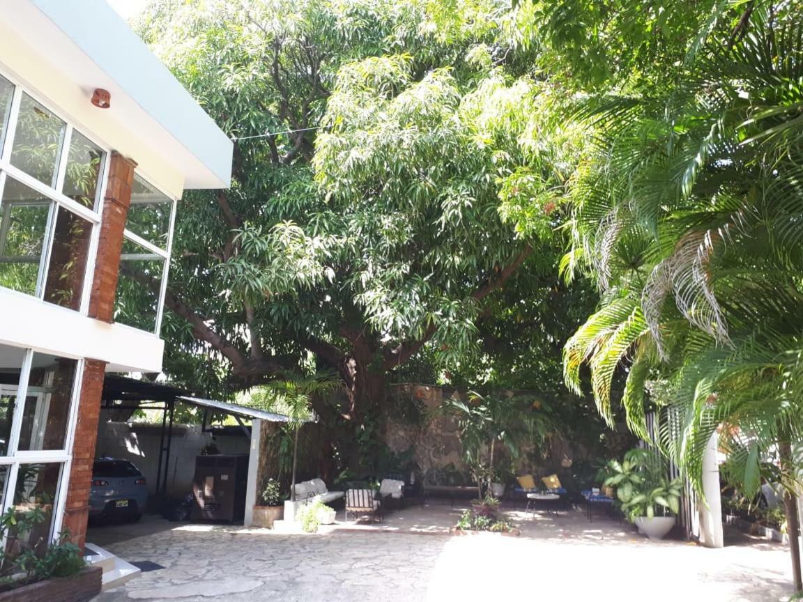 Hotel Alcaldeza - Garden House Maria Guadalupe Santo Domingo Dış mekan fotoğraf