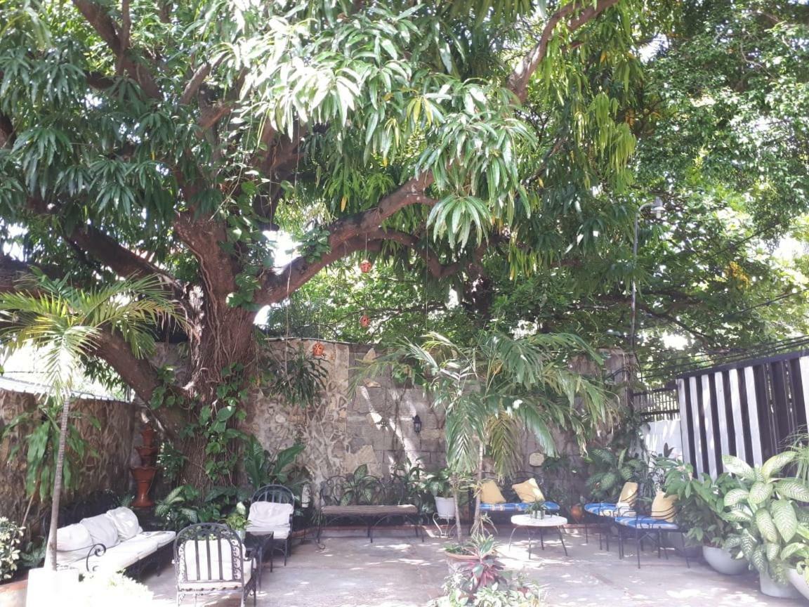 Hotel Alcaldeza - Garden House Maria Guadalupe Santo Domingo Dış mekan fotoğraf