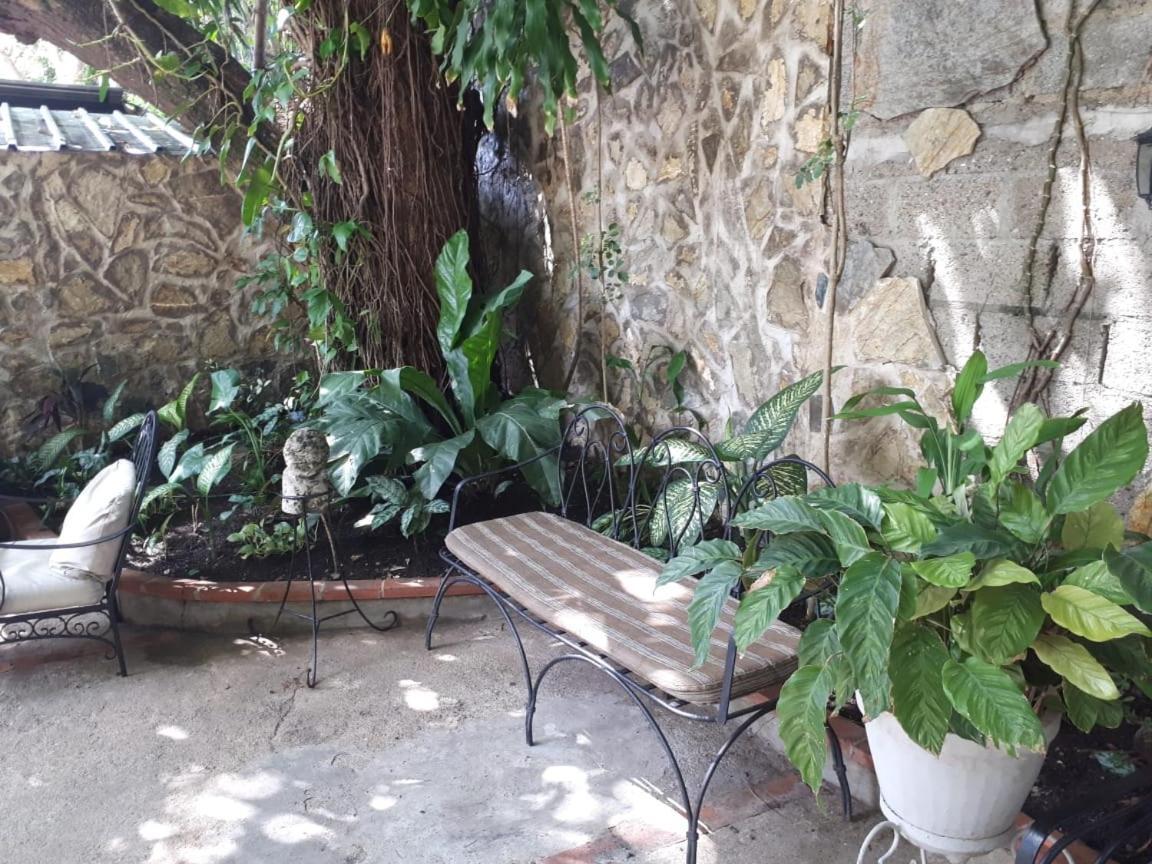Hotel Alcaldeza - Garden House Maria Guadalupe Santo Domingo Dış mekan fotoğraf